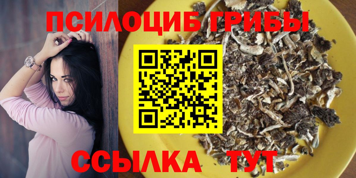 Псилоцибиновые грибы прущие грибы Усть-Джегута