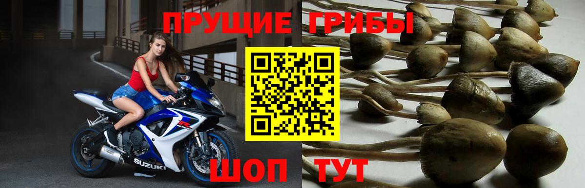 Галлюциногенные грибы Magic Shrooms  наркота  Усть-Джегута  Вход с VPN 